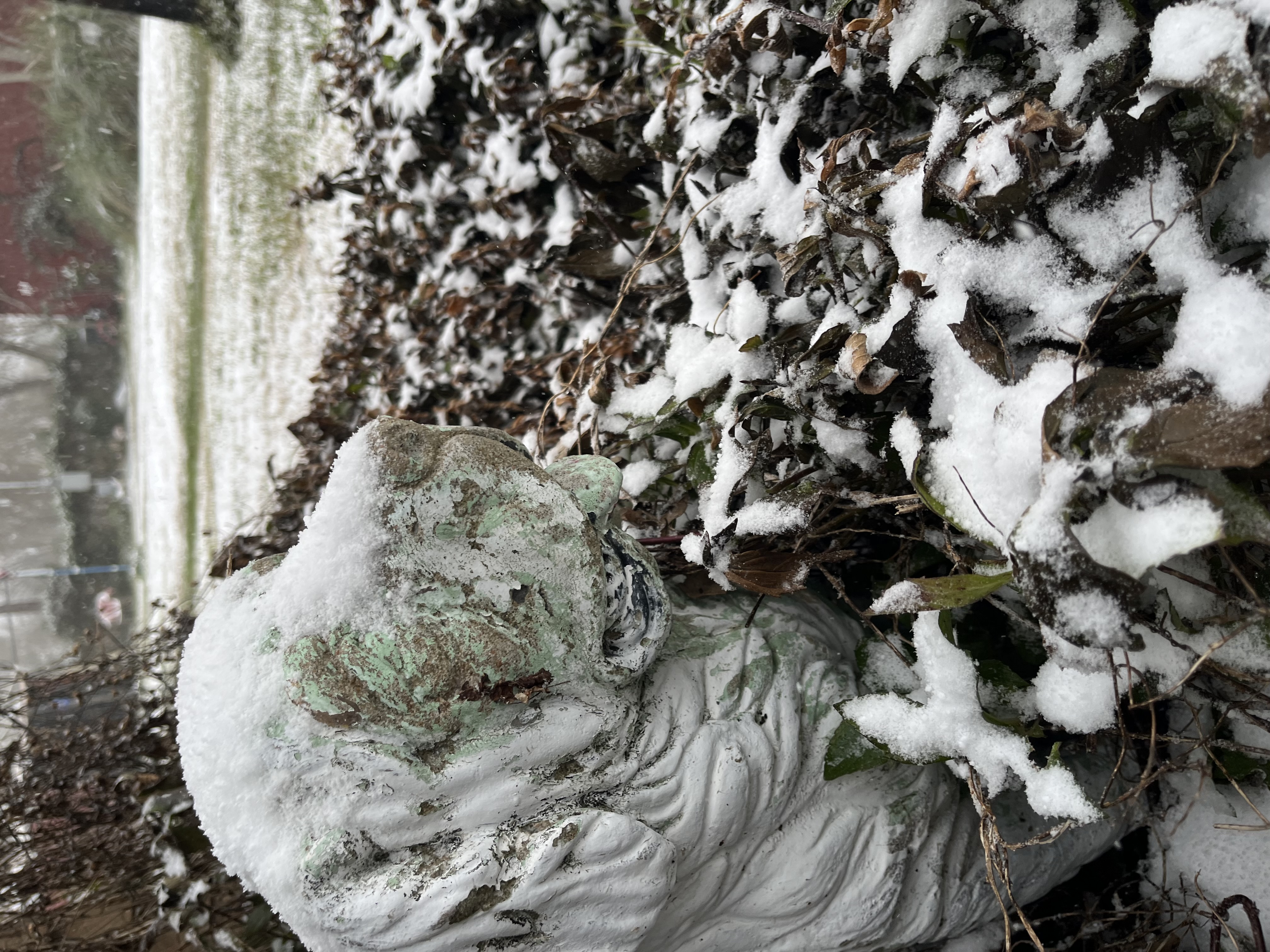 dog statue covered in snow